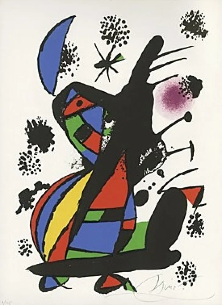 Geïllustreerd Boek Miró - 