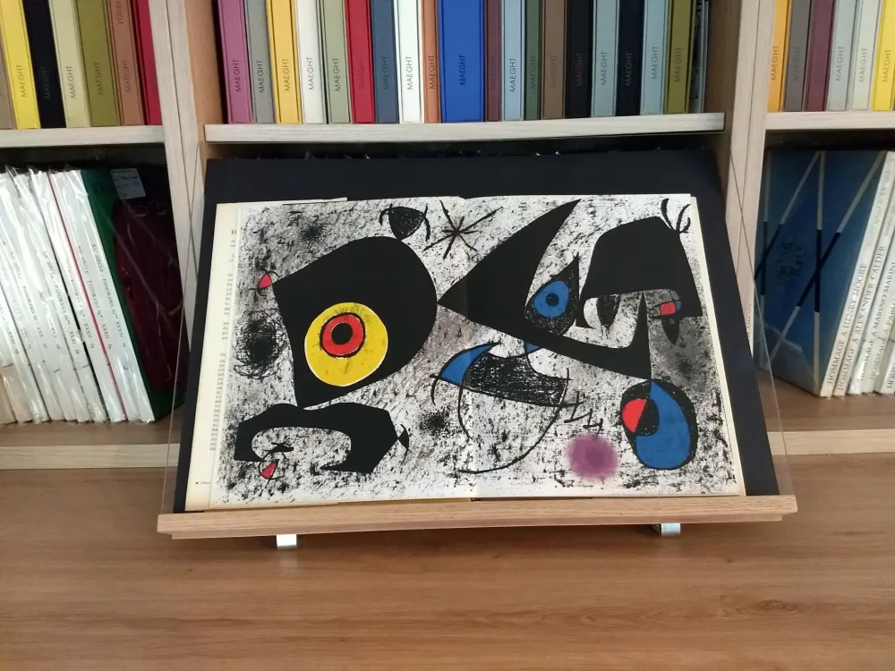 Geïllustreerd Boek Miró - Hommage