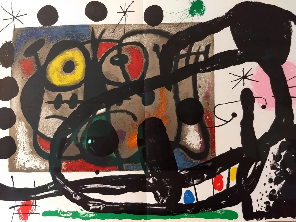 Geïllustreerd Boek Miró - Joan Miro