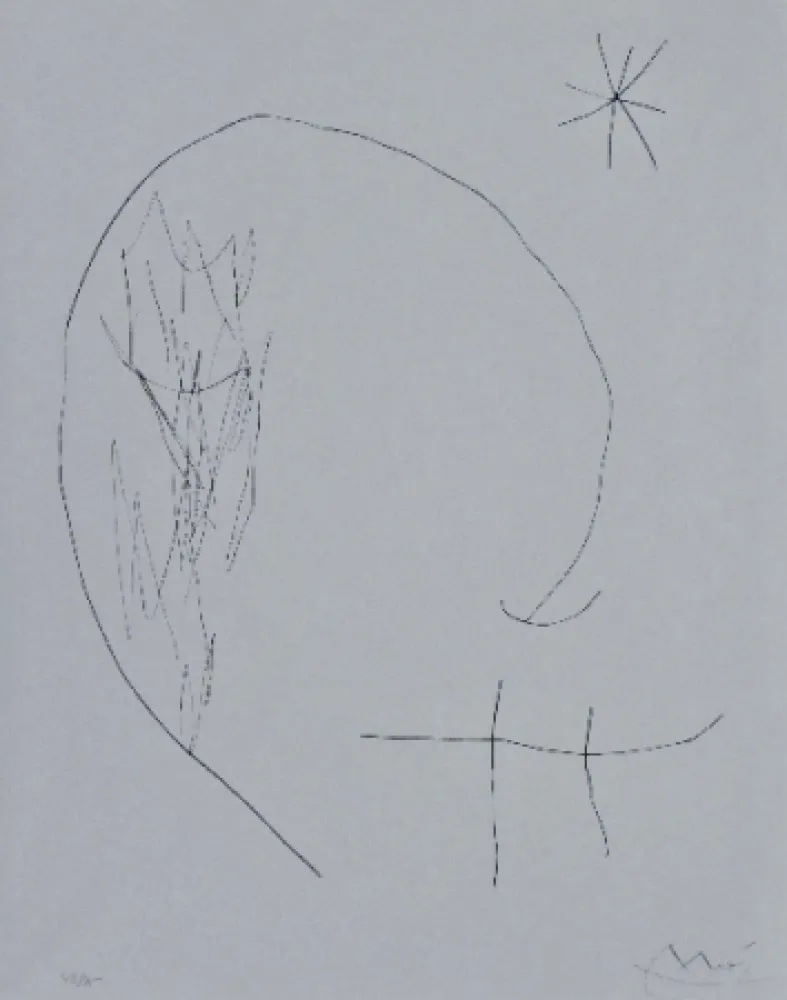 Droge Naald Miró - Journal d'un graveur 2