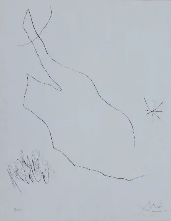 Droge Naald Miró - Journal d'un graveur 5