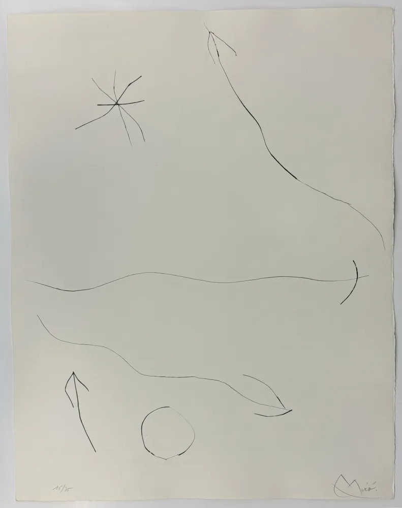 Droge Naald Miró - Journal d'un graveur II