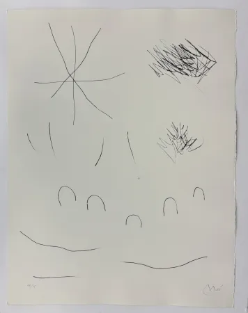 Droge Naald Miró - Journal d'un graveur II