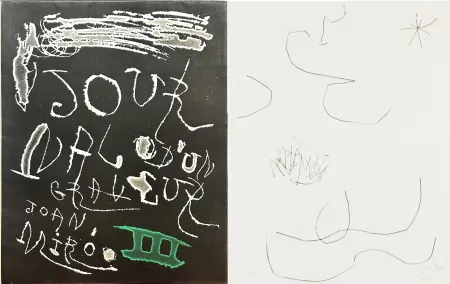 Ets En Aquatint Miró - Journal d'un Graveur (INCLUDE THE ORIGINAL FOULDER)