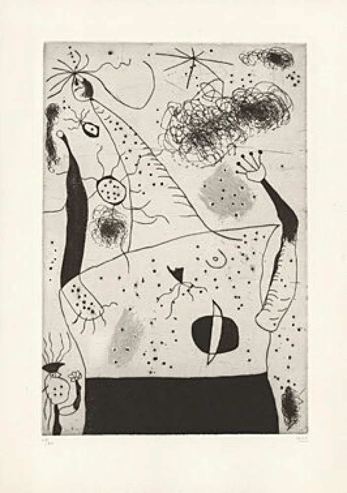 Droge Naald Miró - 