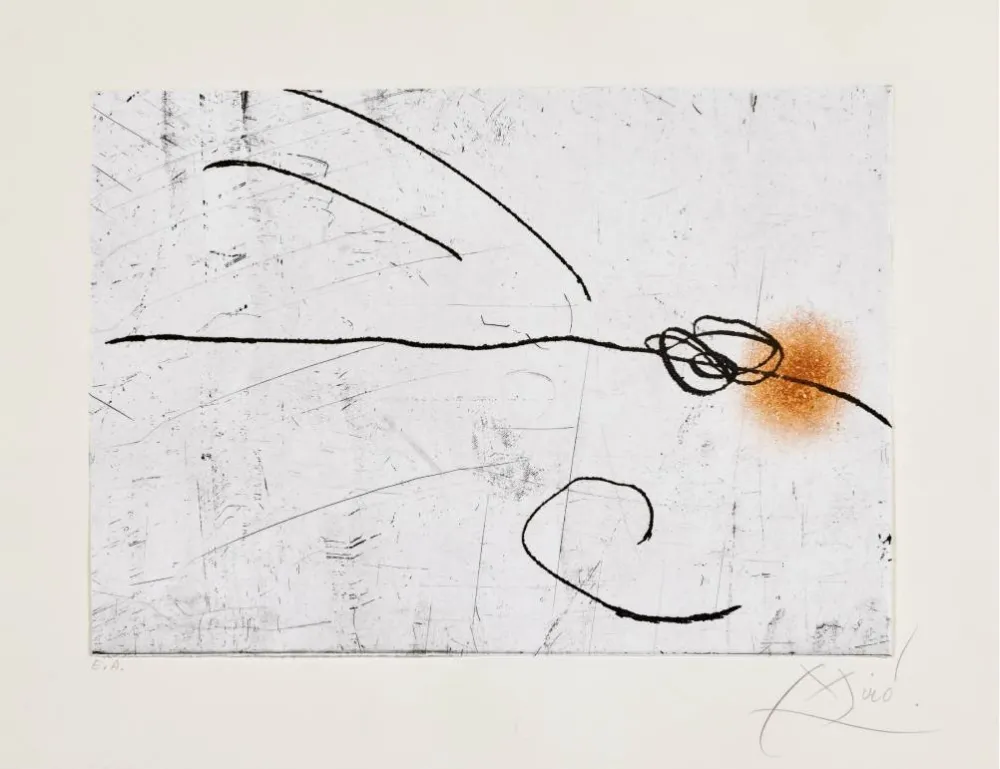 Ets En Aquatint Miró - Lapidari