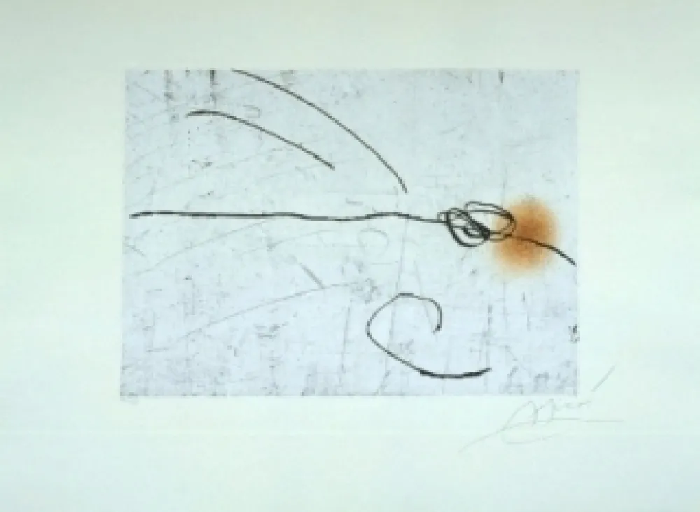 Ets En Aquatint Miró - Lapidari, Aquilinus