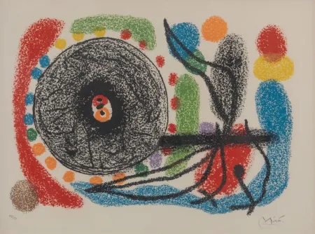Lithografie Miró - Le Lezard aux plumes d'or