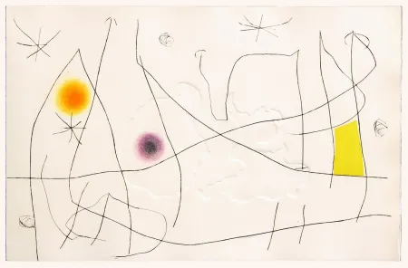 Droge Naald Miró - L'issue dérobée