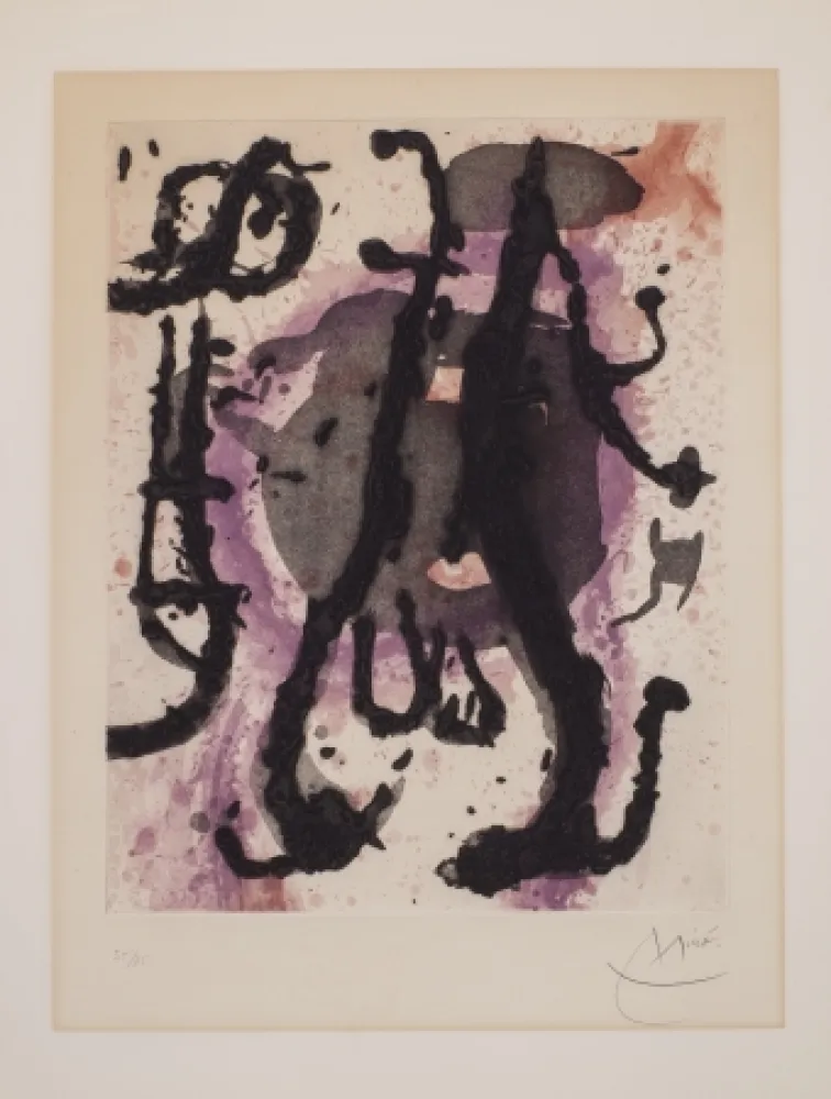 Geen Techniek Miró - Sumo