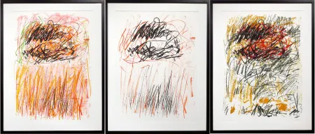 Lithografie Mitchell - Flowers I-III from Bedford Series