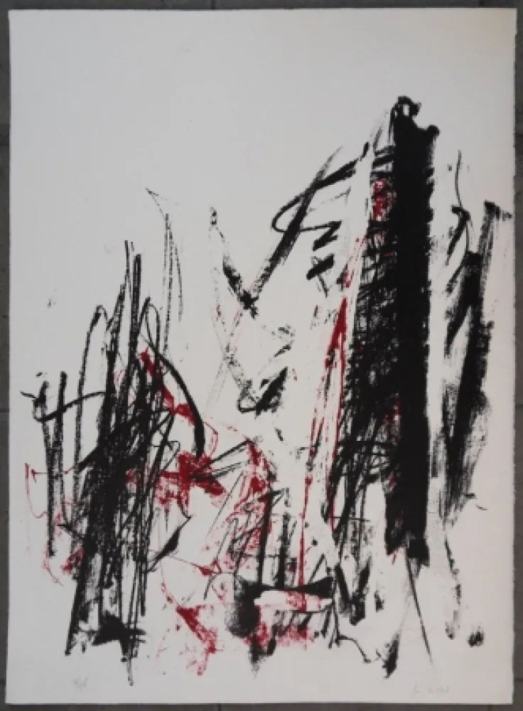 Lithografie Mitchell - Les arbres en rouge