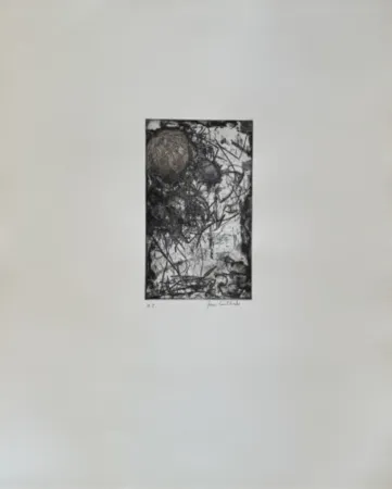 Ets En Aquatint Mitchell - Sunflower I