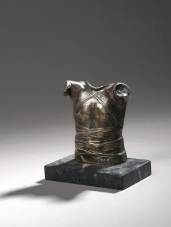 Geen Techniek Mitoraj  - Cuirasse 