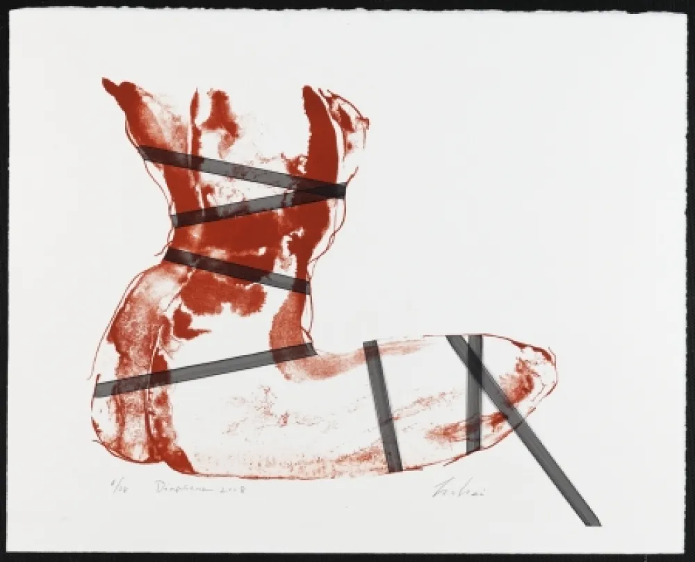 Lithografie Mizutani - Diaphane