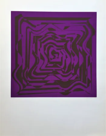 Zeefdruk Molnar - Hyper transformation