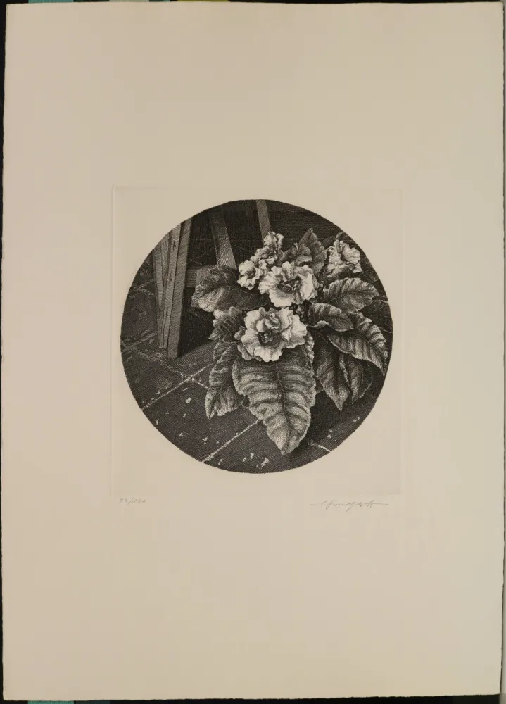 Ets Mongatti - Natura morta