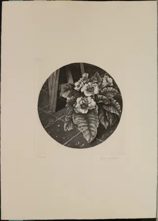 Ets Mongatti - Natura morta