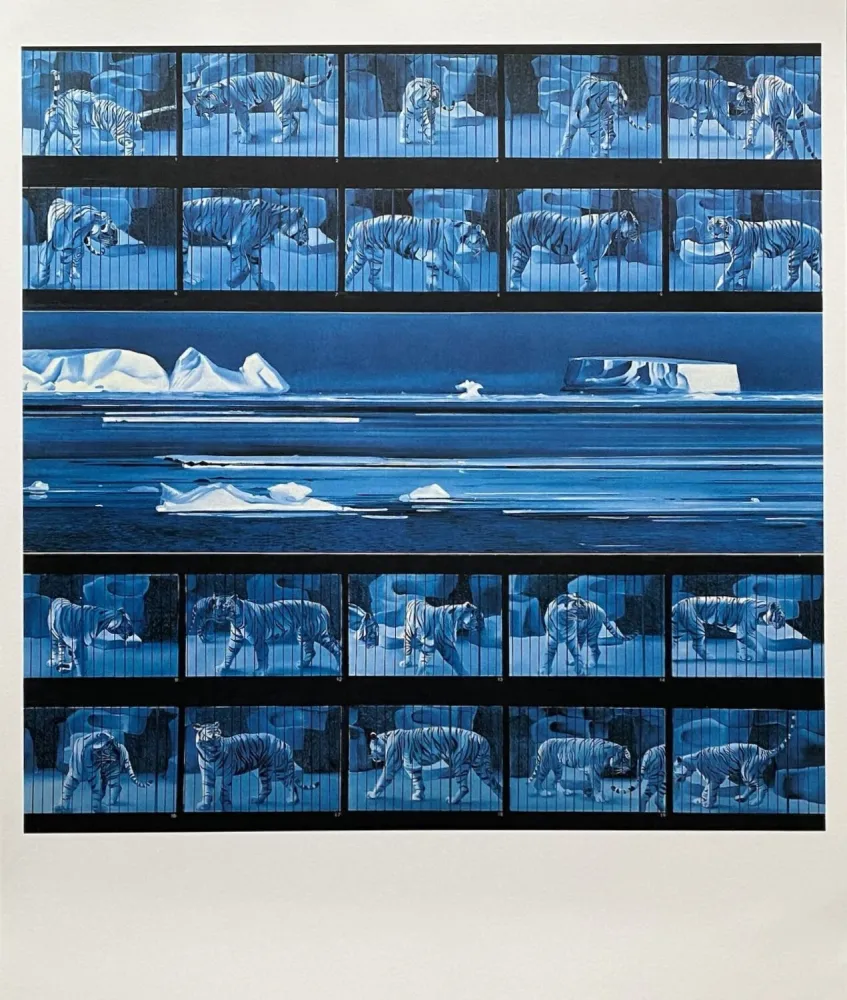 Poster Monory - Dream tiger No 4