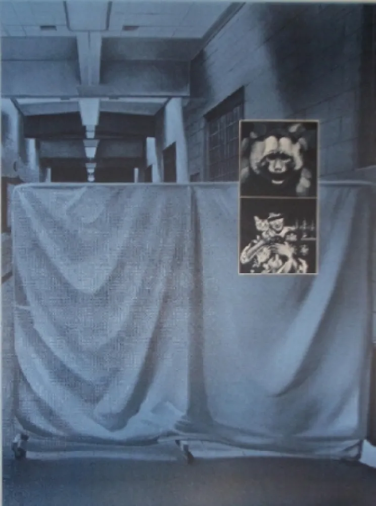 Zeefdruk Monory - USA 76 - Singes