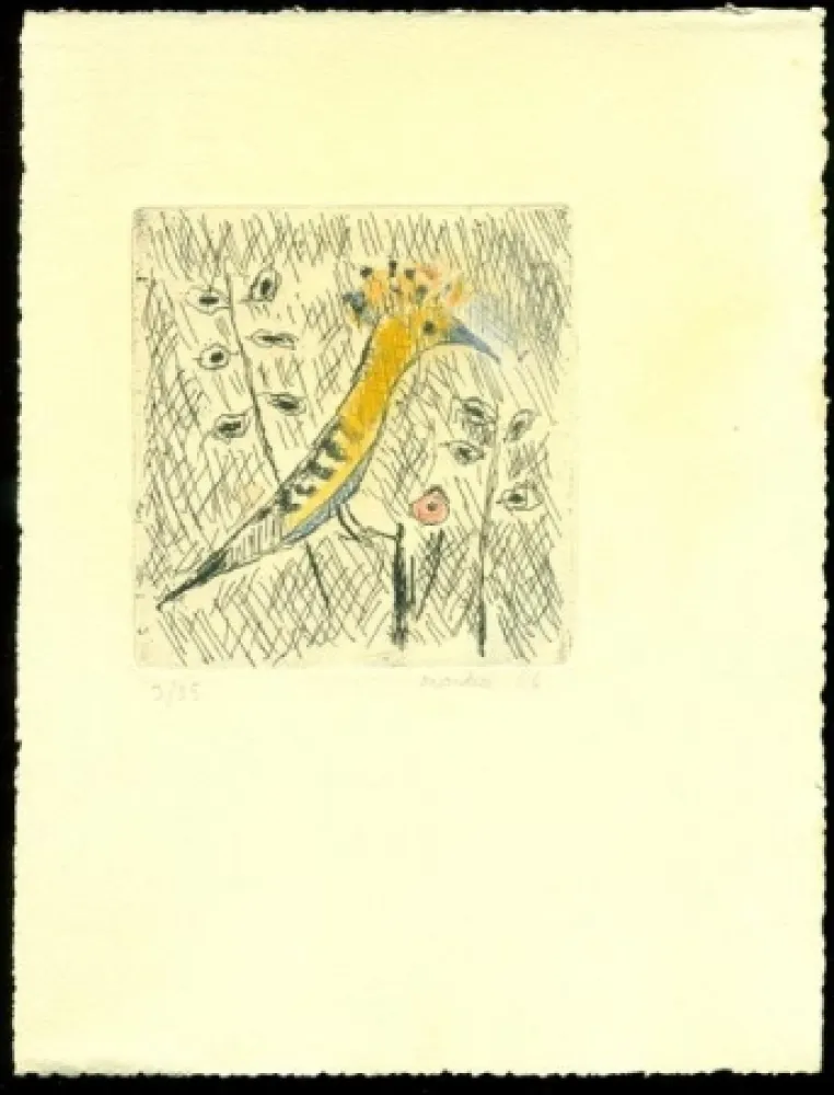 Ets Montale  - Senza titolo