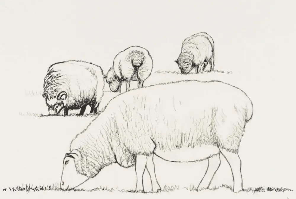 Lithografie Moore - Four Sheep Grazing