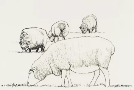 Lithografie Moore - Four Sheep Grazing