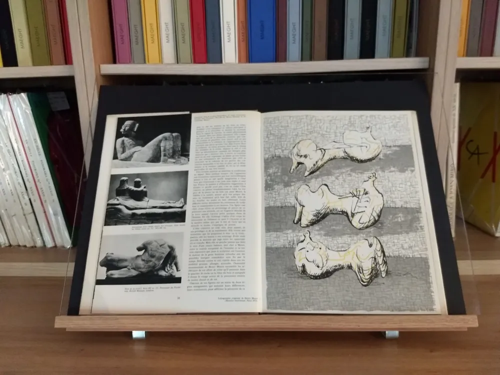 Geïllustreerd Boek Moore - Hommage