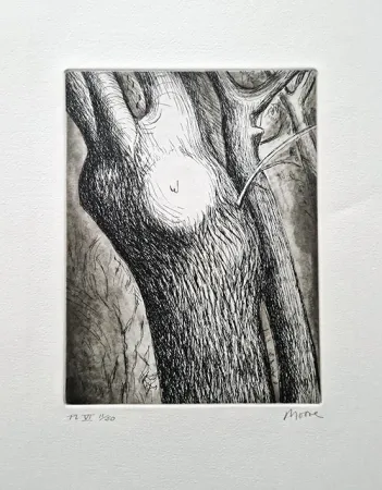 Ets En Aquatint Moore - Trees VI dead ash