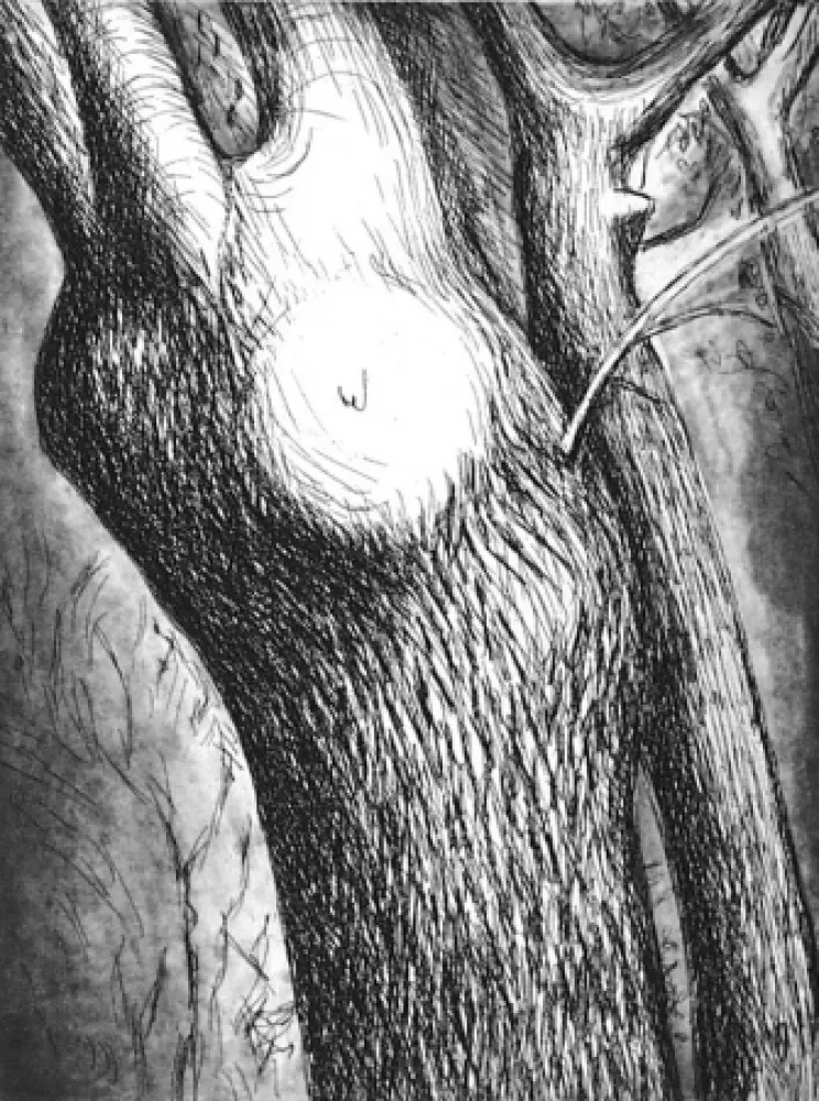 Ets En Aquatint Moore - Trees VI dead ash