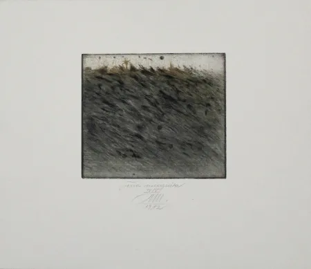 Ets En Aquatint Mordstein - Terra Incognita