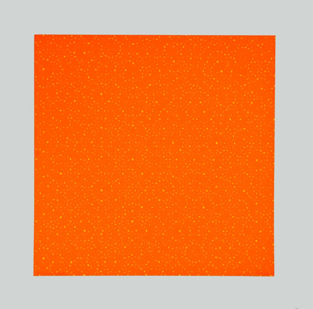 Zeefdruk Morellet - Composition