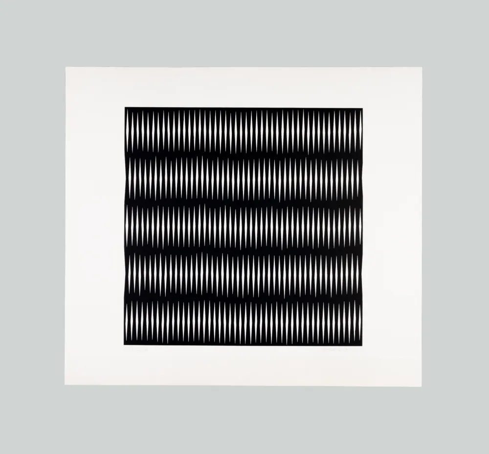 Zeefdruk Morellet - Senza titolo