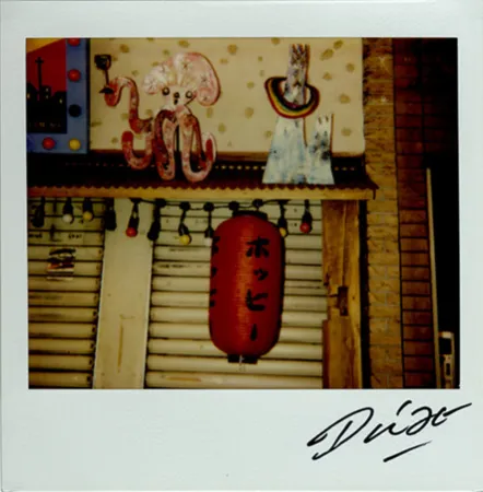 Multiple Moriyama - Bye-Bye Polaroid 13
