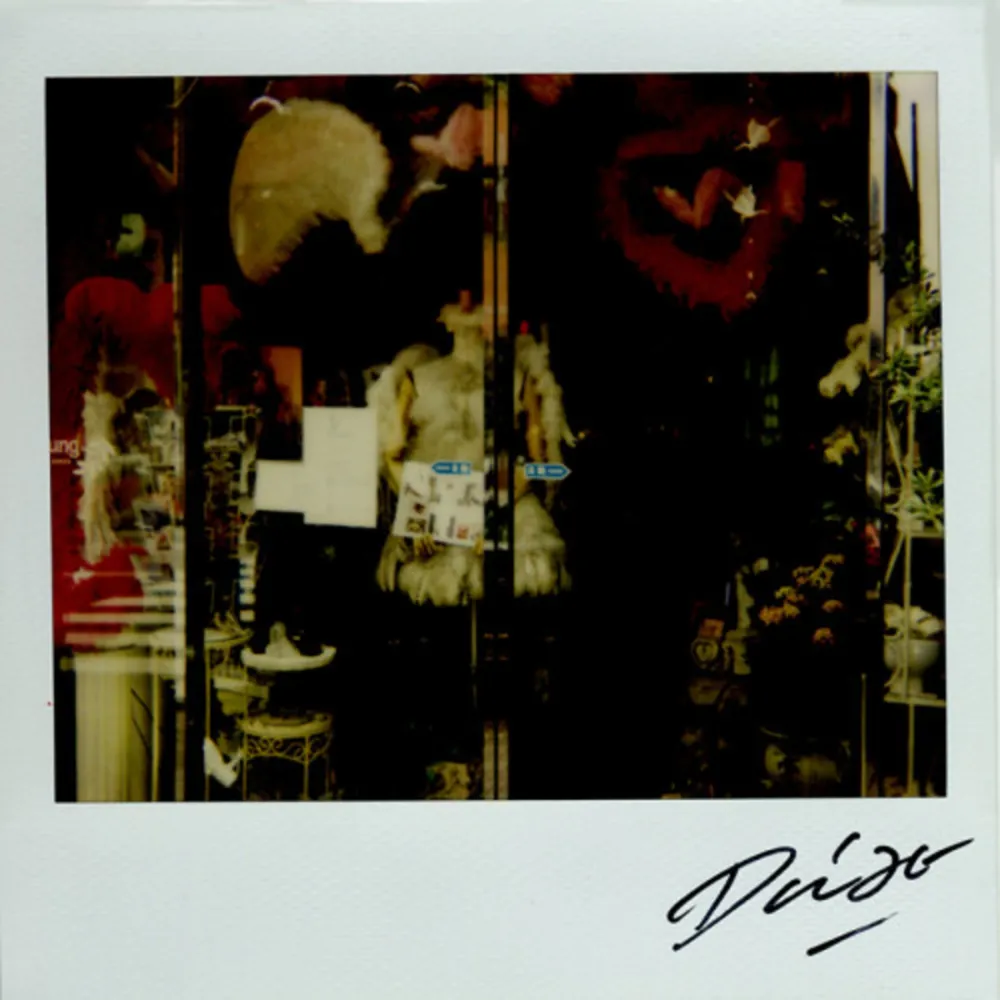 Multiple Moriyama - Bye-Bye Polaroid 9