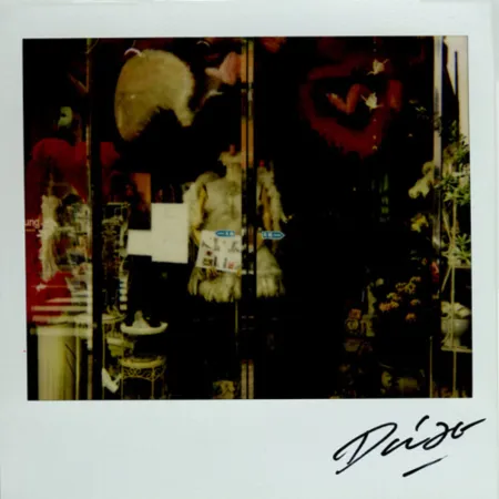 Multiple Moriyama - Bye-Bye Polaroid 9