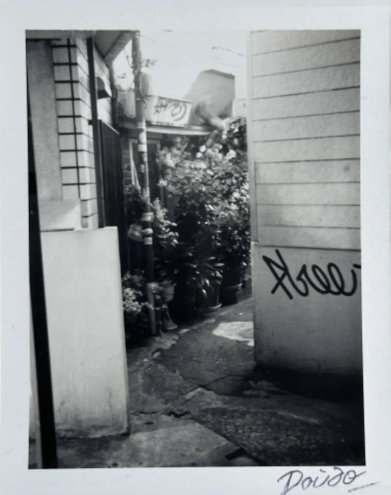 Multiple Moriyama - Passage 4