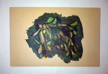 Lithografie Morlotti - Vegetali