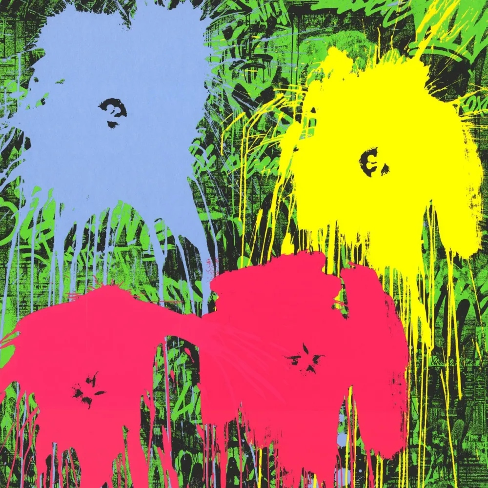 Zeefdruk Mr Brainwash - Flowarh$ - II (D)