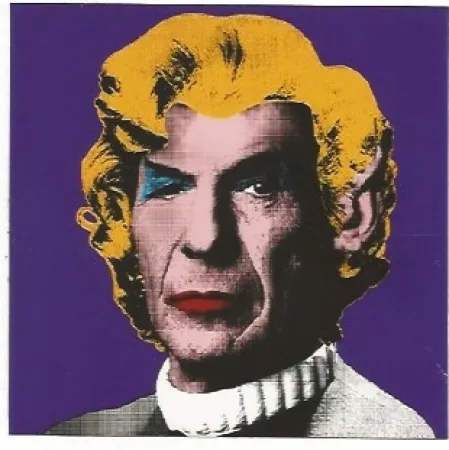 Zeefdruk Mr. Brainwash - Spock (Wig)