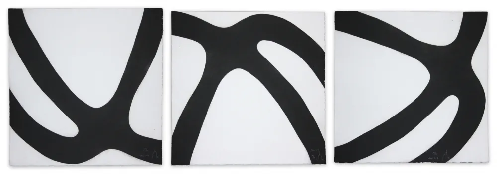 Aquatint Muckensturm - 14c2