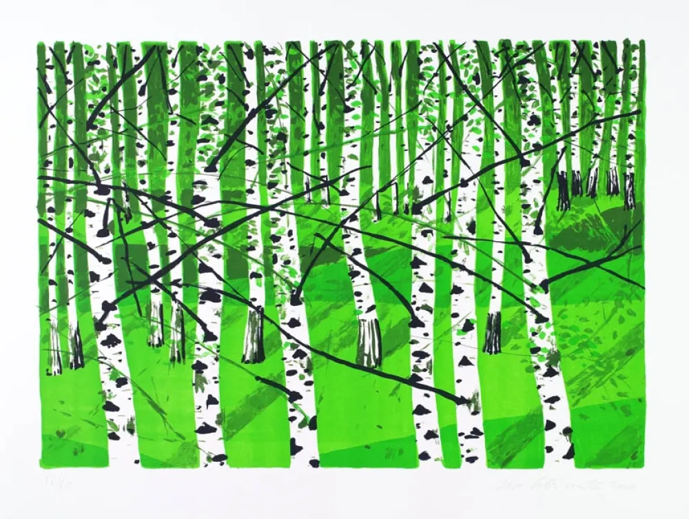 Lithografie Muller - Birkenwa?ldchen