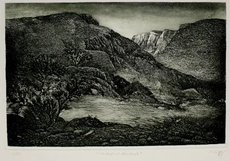 Ets En Aquatint Müller - Landschaft mit Strauchwerk / Landscape with Bushes