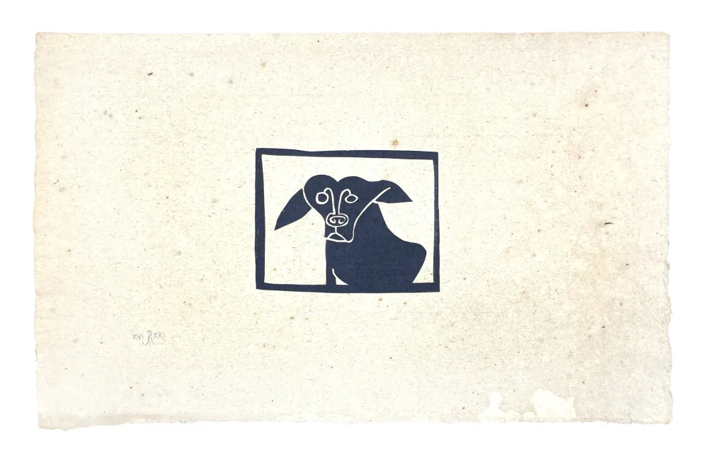 Geen Techniek Müller - SKILIA II