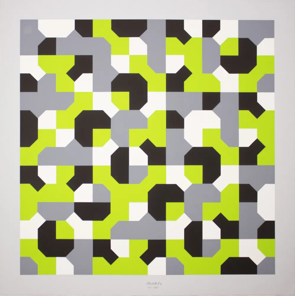 Zeefdruk Munari - Curve di Peano