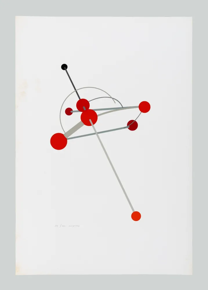 Zeefdruk Munari - Macchina aerea