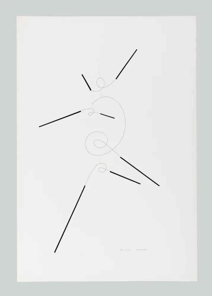 Zeefdruk Munari - Macchina inutile