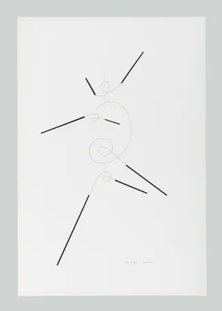 Zeefdruk Munari - Macchina inutile