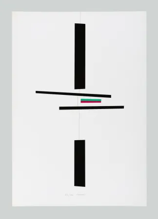 Zeefdruk Munari - Macchina inutile