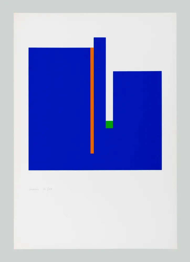 Zeefdruk Munari - Negativo positivo